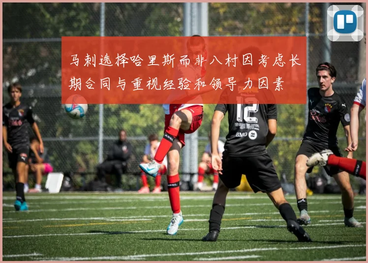 马刺选择哈里斯而非八村因考虑长期合同与重视经验和领导力因素