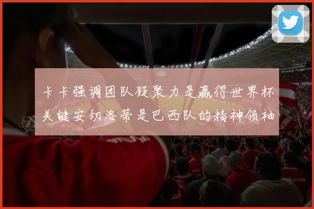 卡卡强调团队凝聚力是赢得世界杯关键安切洛蒂是巴西队的精神领袖