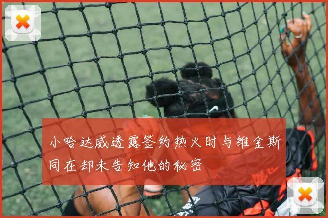小哈达威透露签约热火时与维金斯同在却未告知他的秘密